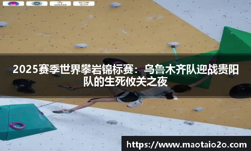 2025赛季世界攀岩锦标赛：乌鲁木齐队迎战贵阳队的生死攸关之夜