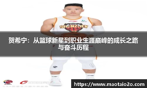 半岛bandao体育官方